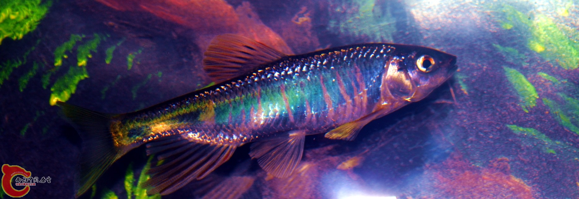 DSC_0655.JPG