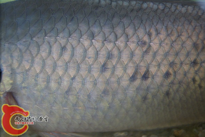 B04.jpg