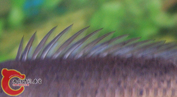 B03.jpg