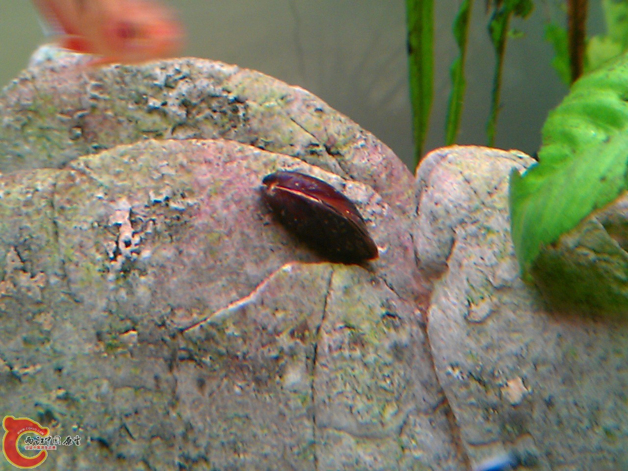 IMAG0617.jpg