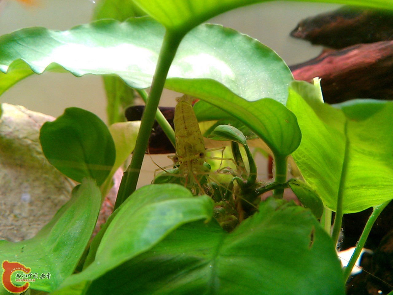 IMAG0619.jpg