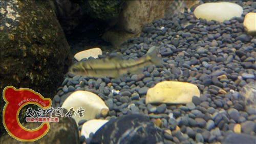 2011-10-05_21-18-08_921.jpg