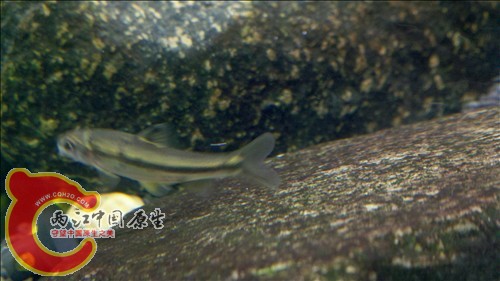 2011-10-05_21-10-11_560.jpg