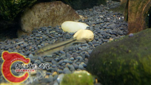 2011-10-05_21-11-08_205.jpg