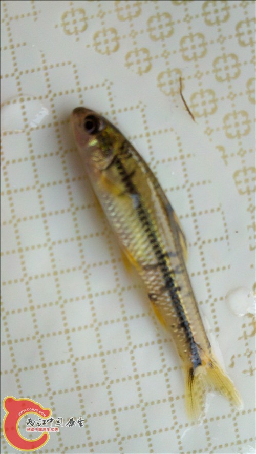 2011-10-05_12-59-16_67.jpg