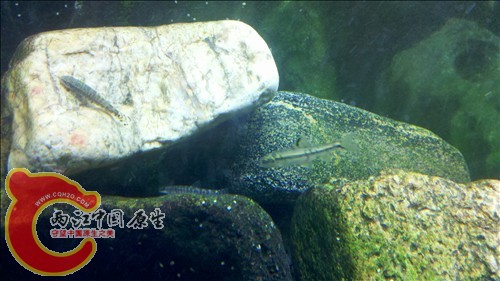 2011-10-05_21-09-48_920.jpg
