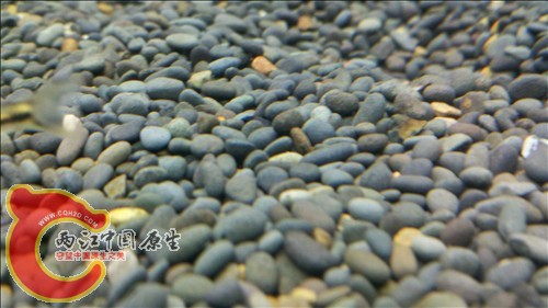 2011-10-05_21-10-56_502.jpg