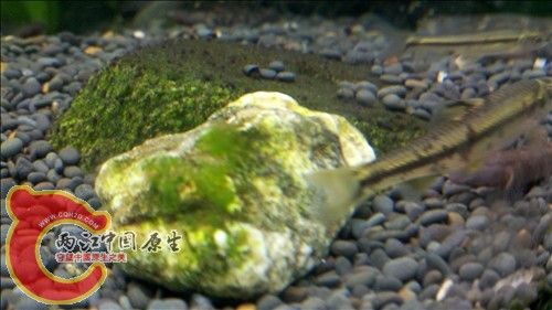 2011-10-05_21-10-28_825.jpg