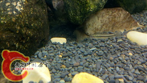 2011-10-05_21-11-49_185.jpg