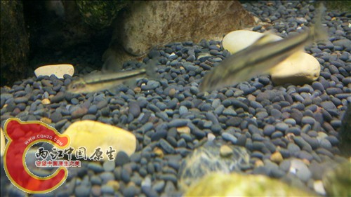 2011-10-05_21-11-18_677.jpg