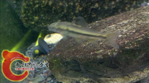 2011-10-05_21-12-51_856.jpg