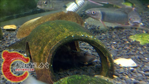 2011-10-05_21-12-22_583.jpg