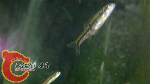 2011-10-05_21-15-24_76.jpg