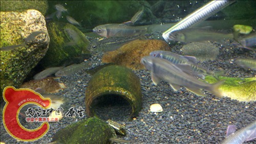 2011-10-05_21-15-50_584.jpg