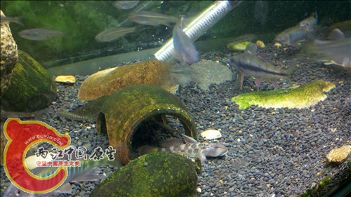 2011-10-05_21-16-18_213.jpg