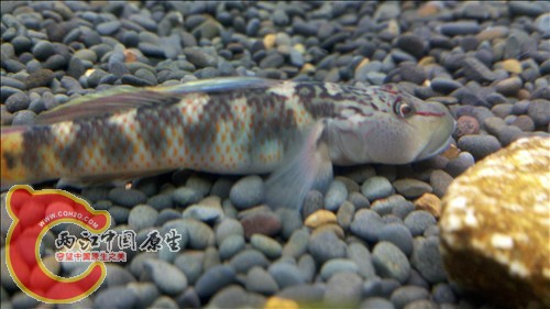 2011-10-05_21-17-19_77.jpg