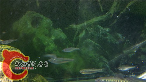2011-10-05_21-17-04_880.jpg