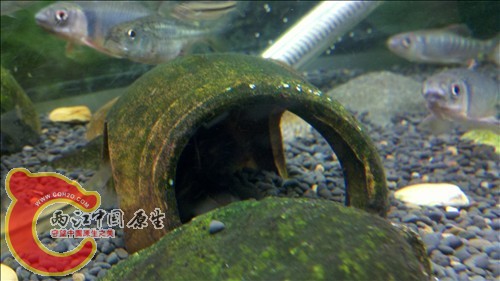 2011-10-05_21-17-56_244.jpg
