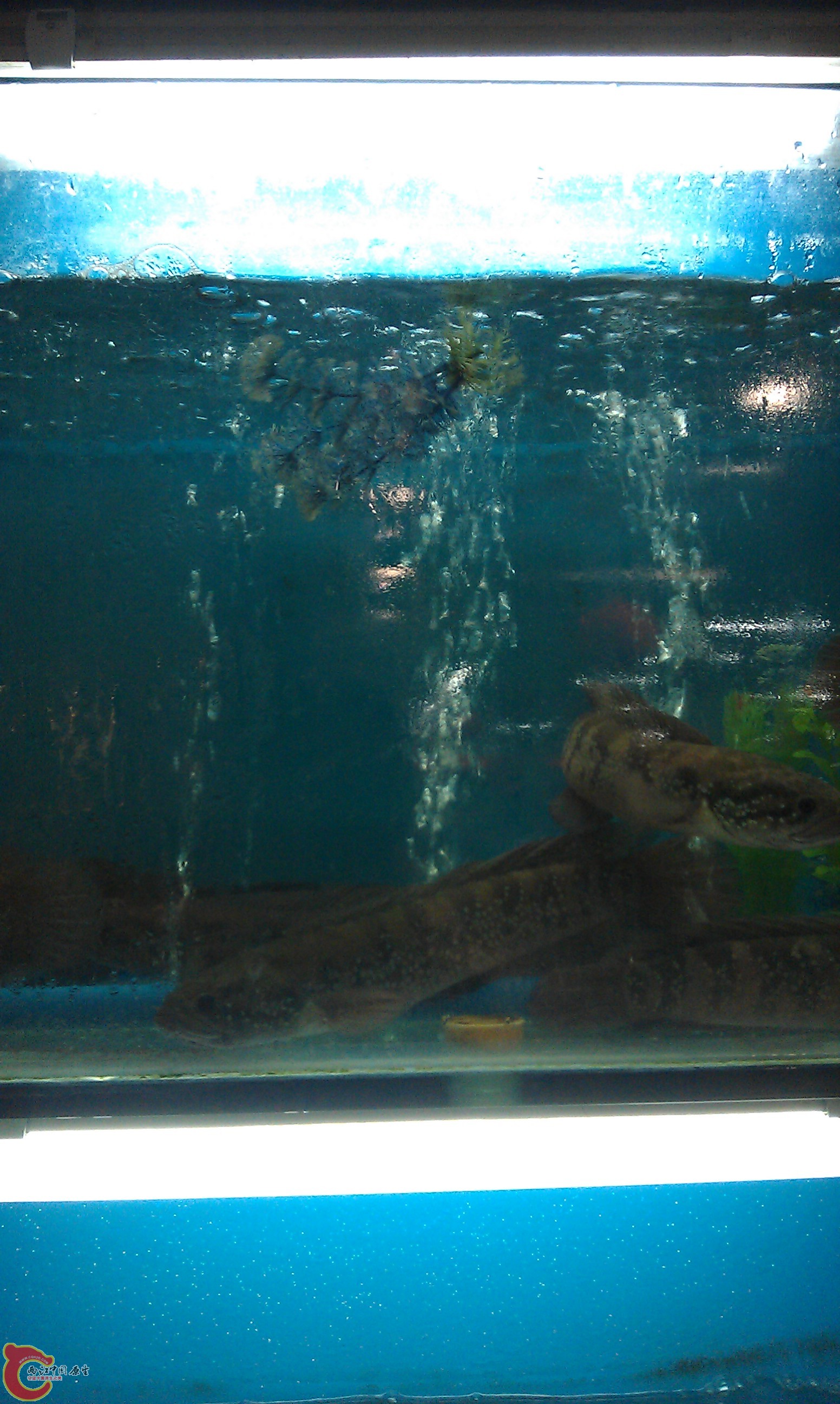 IMAG0341.jpg