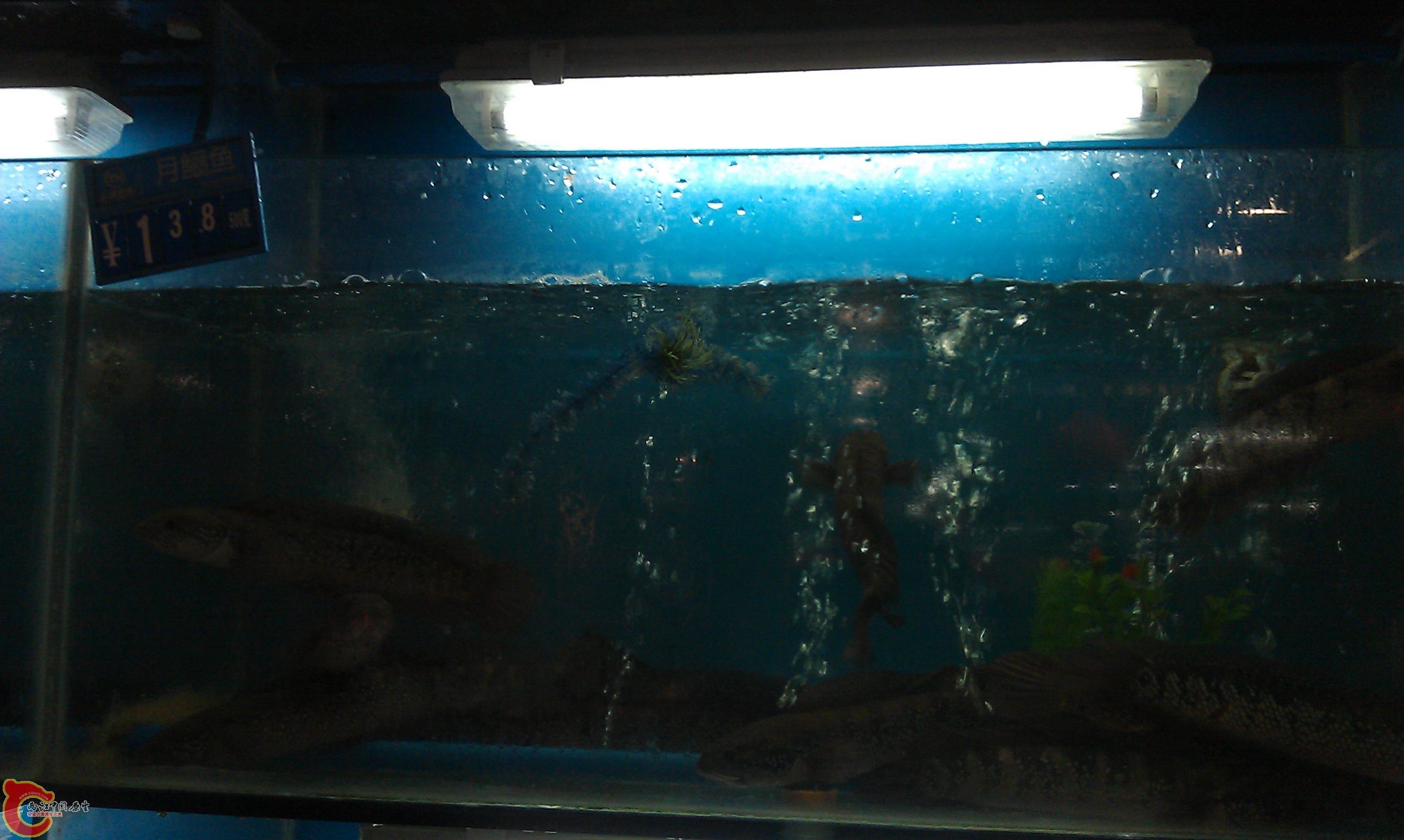 IMAG0339.jpg