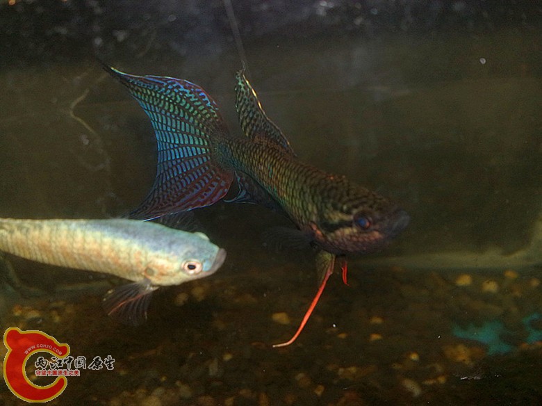 201110061652.jpg