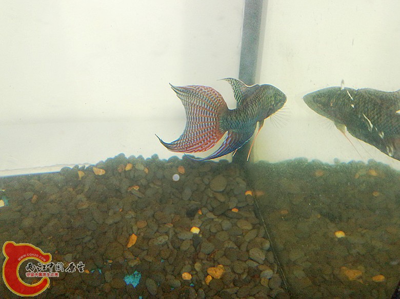 201110061658.jpg