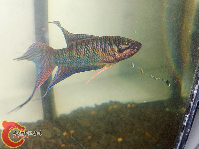 201110061660.jpg
