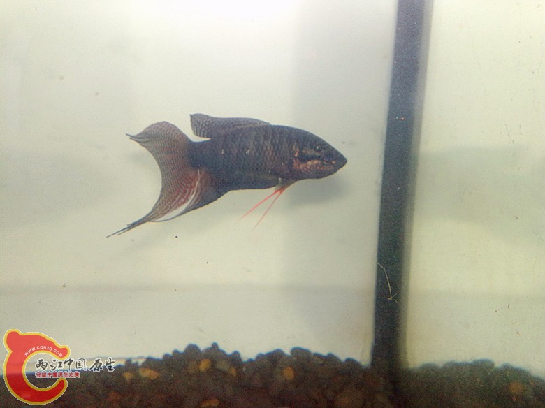 201110071663.jpg