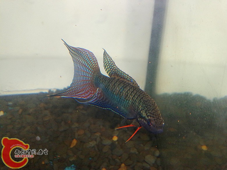 201110071664.jpg