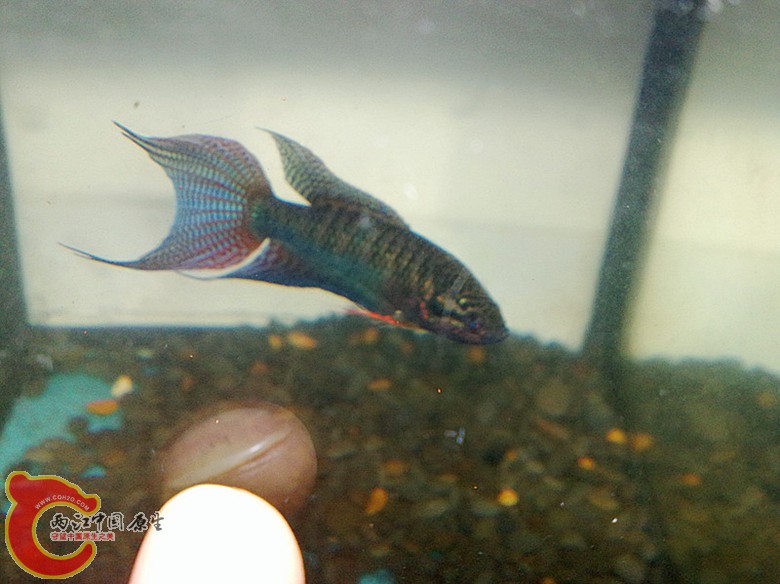 201110071665.jpg