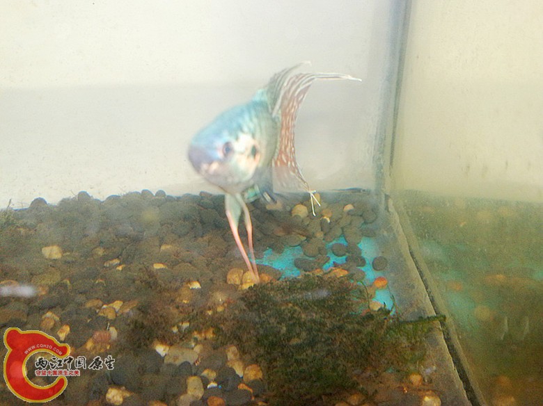 201110071667.jpg