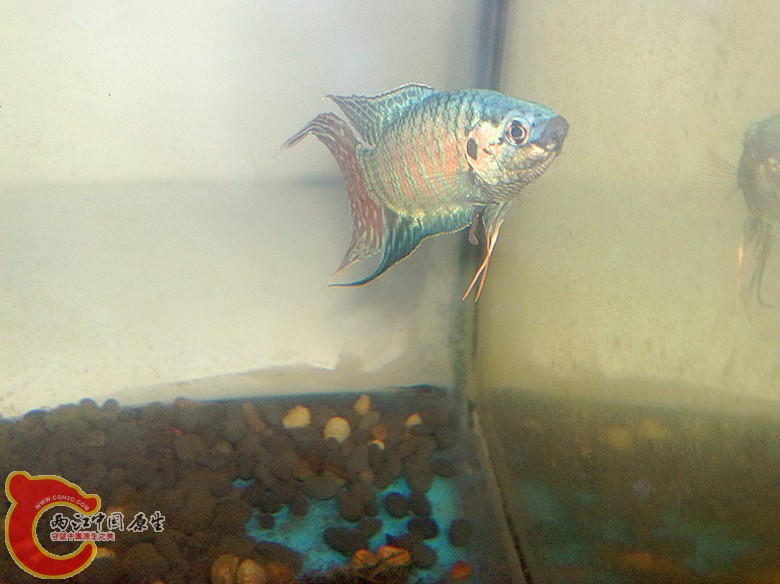201110071668.jpg