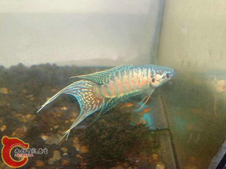 201110071669.jpg