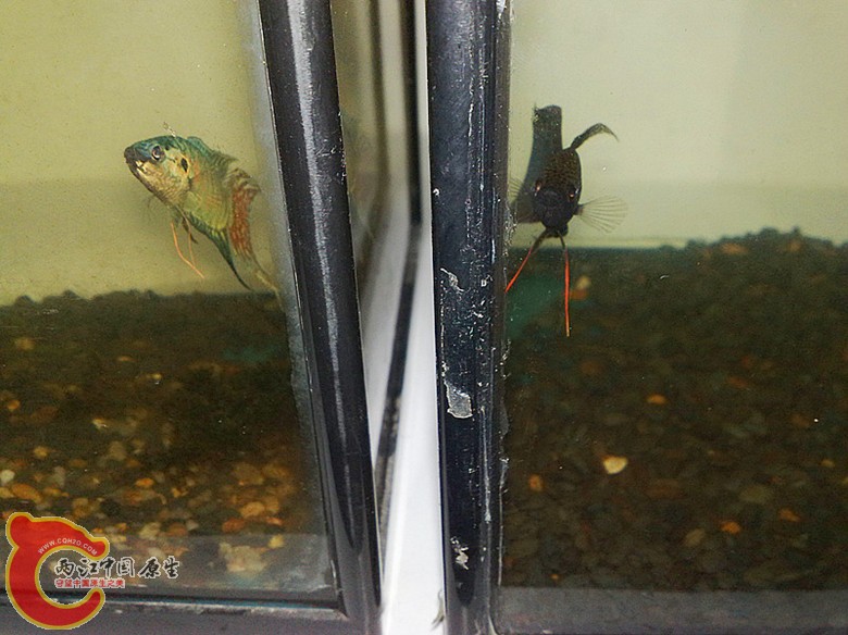 201110071670.jpg