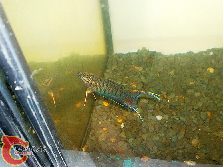 201110071673.jpg