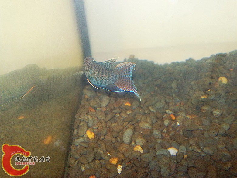 201110071675.jpg