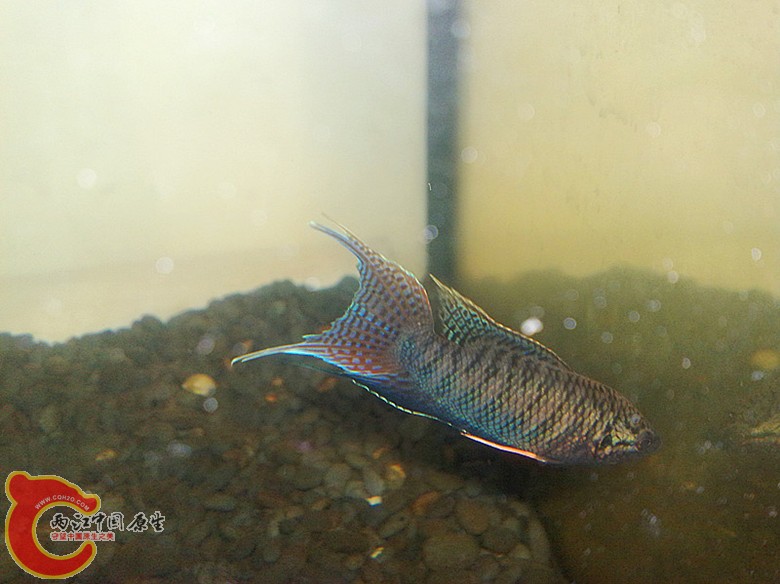 201110071676.jpg