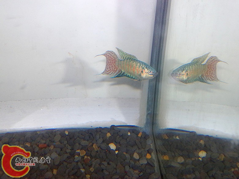 201110071677.jpg