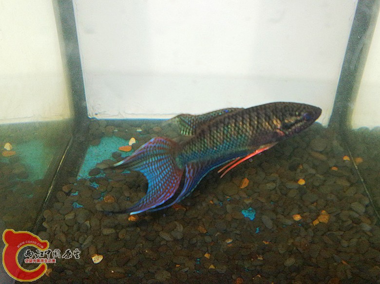 201110071678.jpg