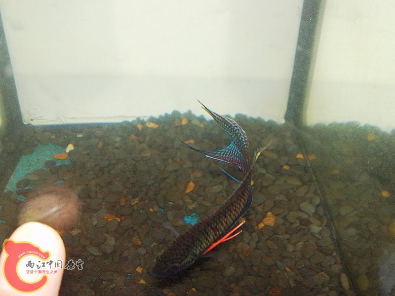 201110071679.jpg