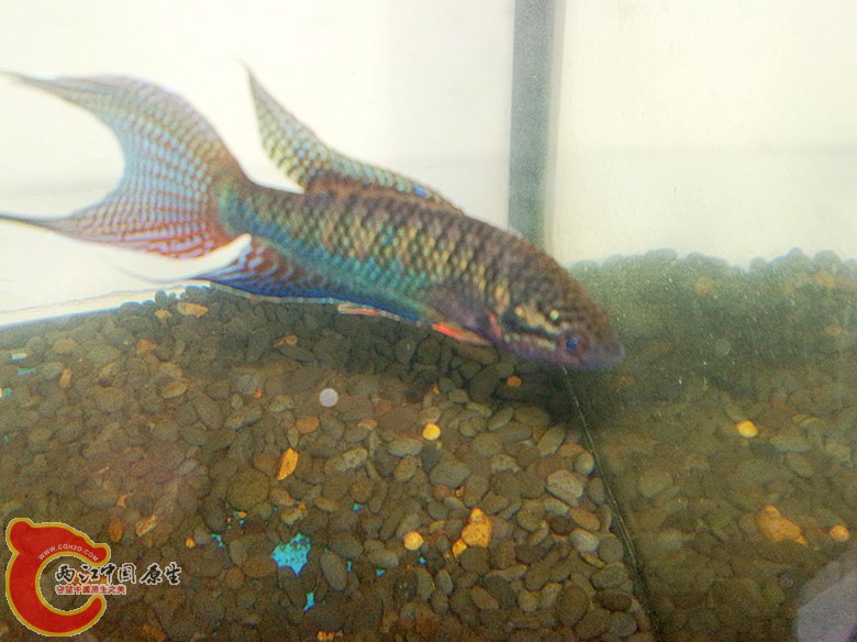 201110071681.jpg