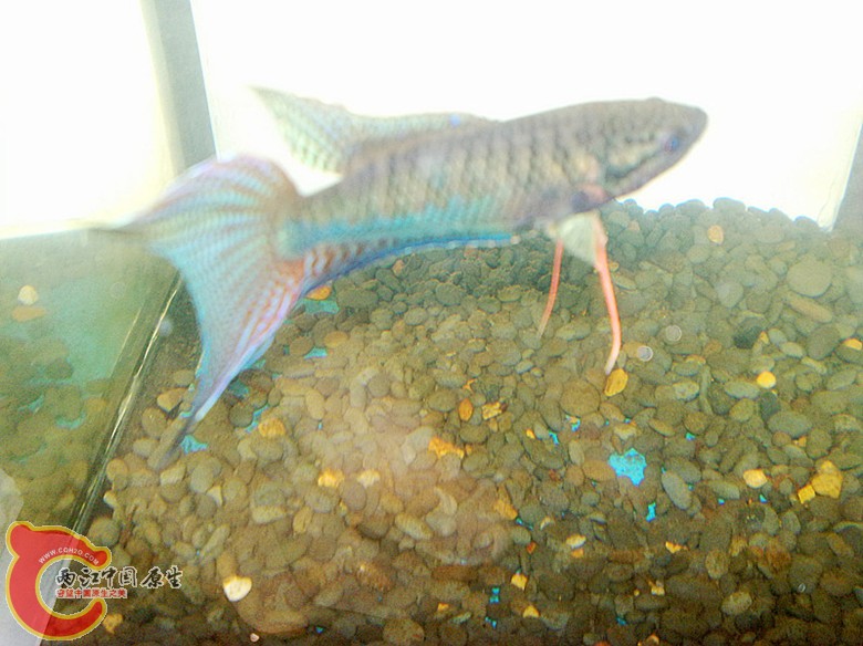 201110071683.jpg