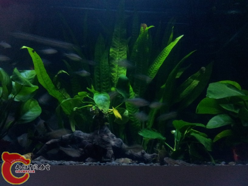 2011-10-07 20.04.26.jpg