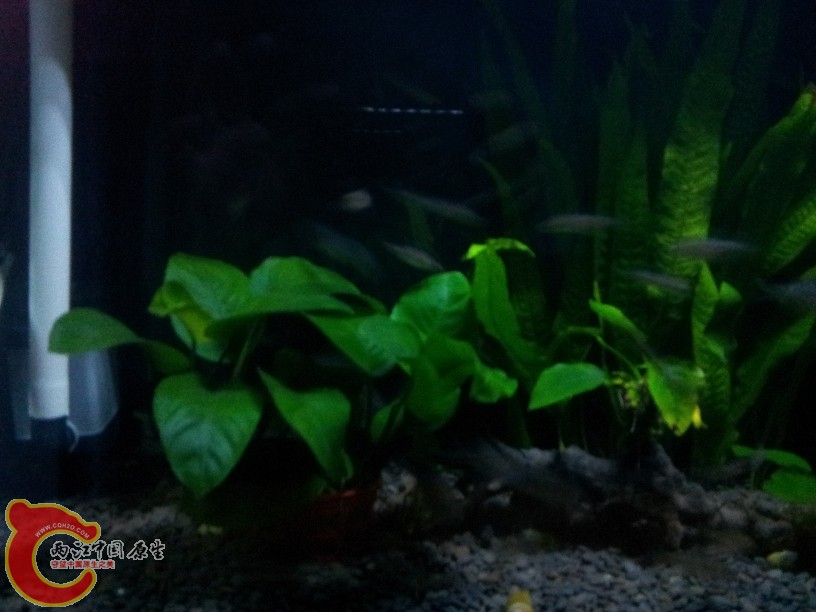 2011-10-07 20.02.27.jpg