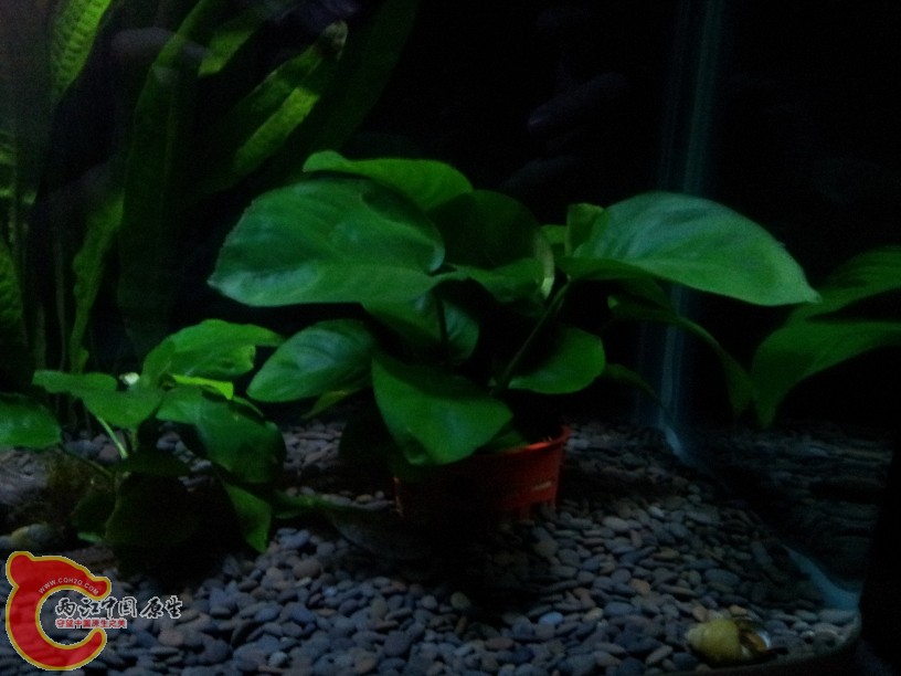 2011-10-07 20.00.35.jpg