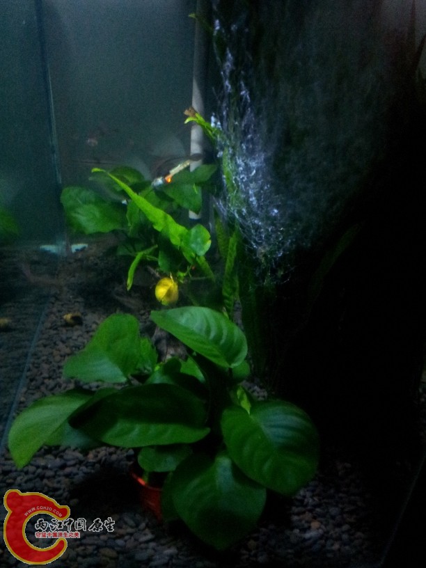 2011-10-07 20.03.02.jpg