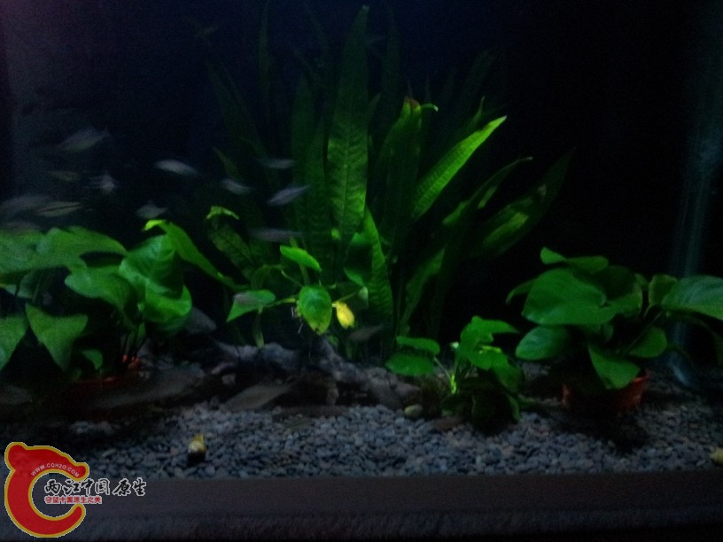 2011-10-07 20.00.07.jpg