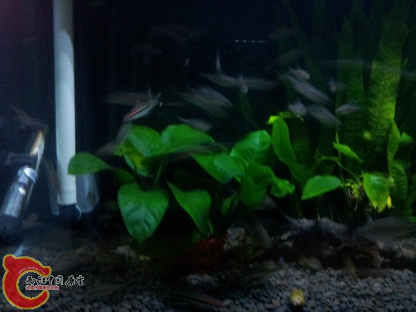 2011-10-07 20.00.23.jpg