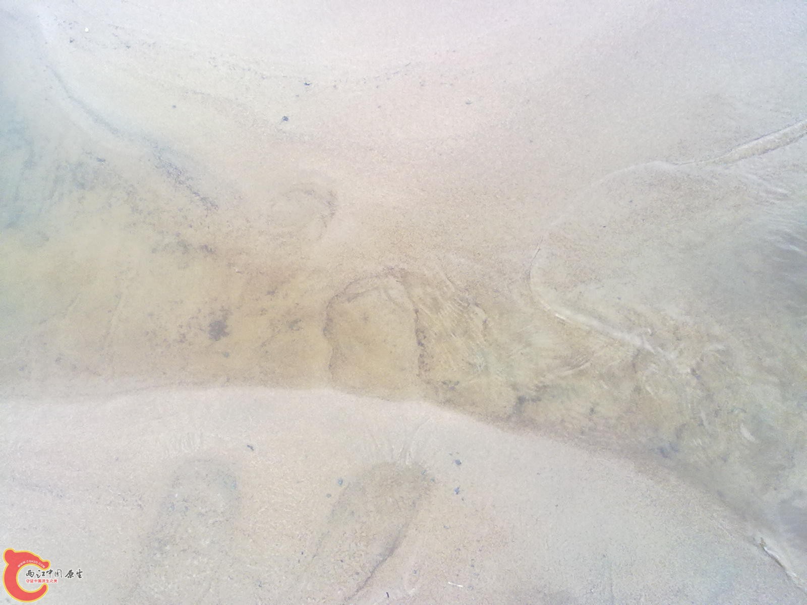 水下还是黑龙江