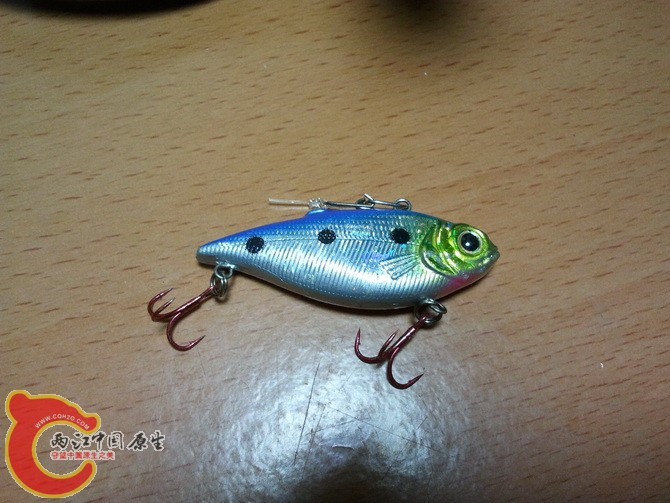 2011-10-09 18.14.08.jpg
